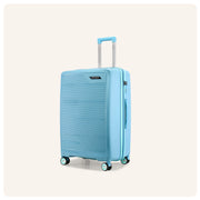 Provogue Spectrum Medium
