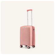 Provogue Coral Small